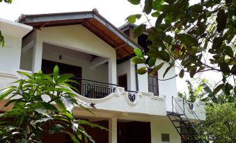 Green Villa