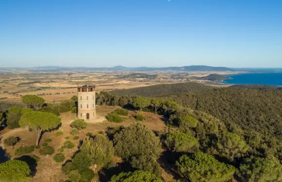 託雷裏沃爾塔酒店