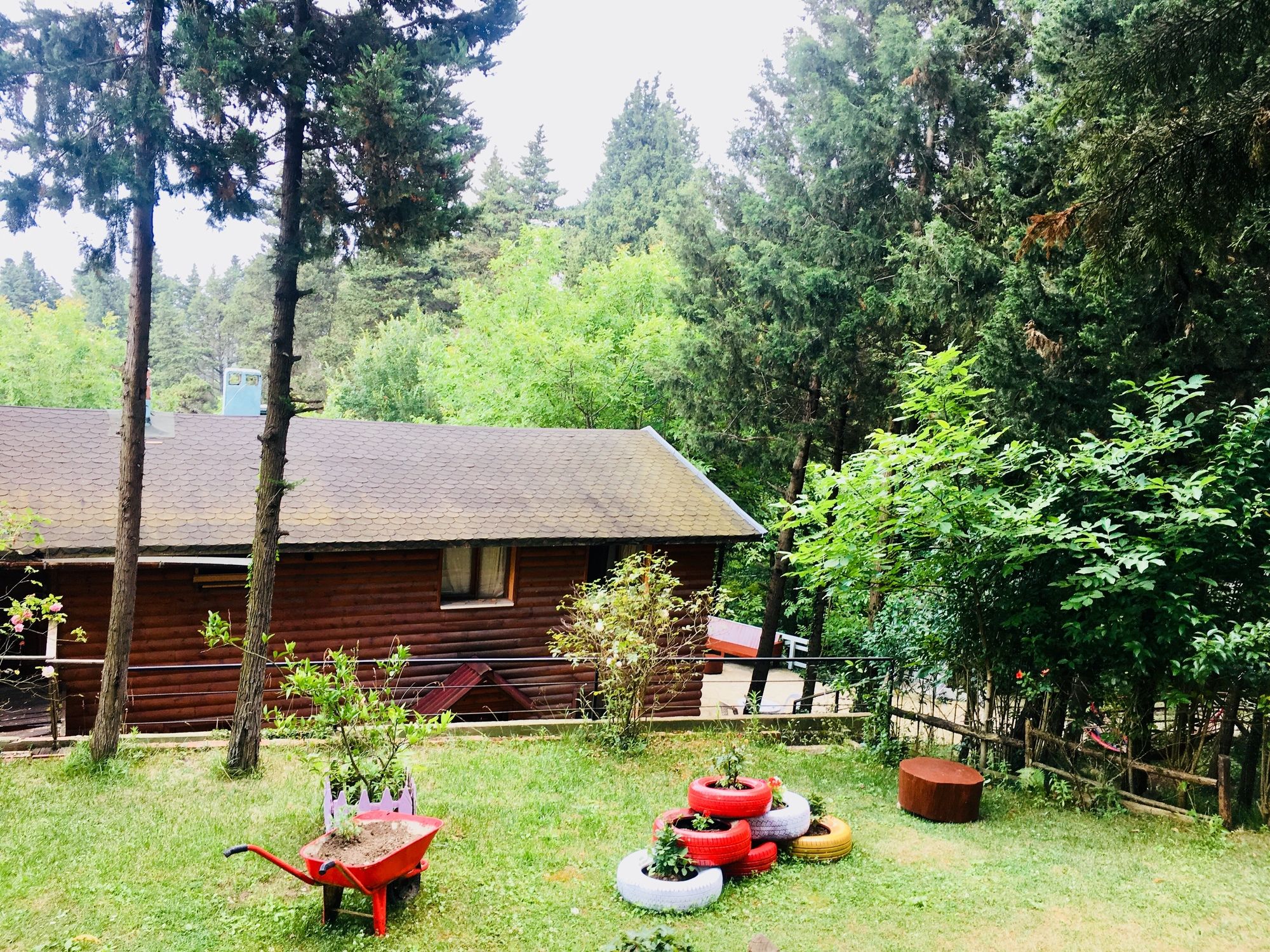 Ağva Orman Evleri Forest Lodge (Agva Orman Evleri Forest Lodge)