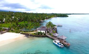 a tropical island with a docked boat and a small island house surrounded by palm trees at Sinalei Reef Resort & Spa