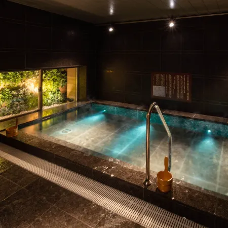 Super Hotel Premier Ginza