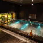 Super Hotel Premier Ginza - Hot Springs
