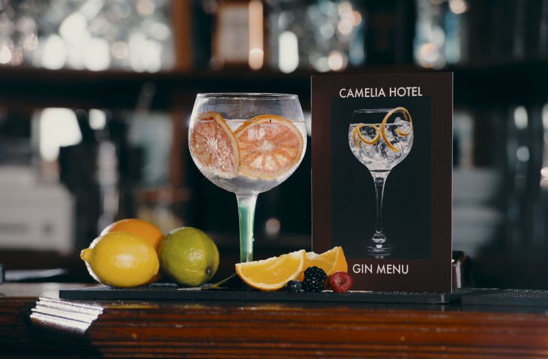 Camelia Hotel photo 3