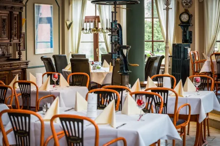 Hotel Stettiner Hof Отели в г. Цюссов