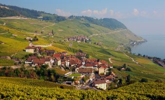 Hôtel des Trois Couronnes & Spa - the Leading Hotels of the World
