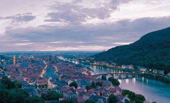 Die Hirschgasse Heidelberg