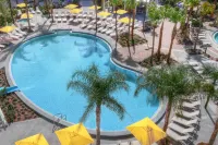 Sheraton Orlando Lake Buena Vista Resort - Infinity Pools