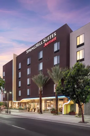 SpringHill Suites Los Angeles Burbank/Downtown Отели рядом с достопримечательностью «Zombie Joe's Underground Theatre Group at ZJU»