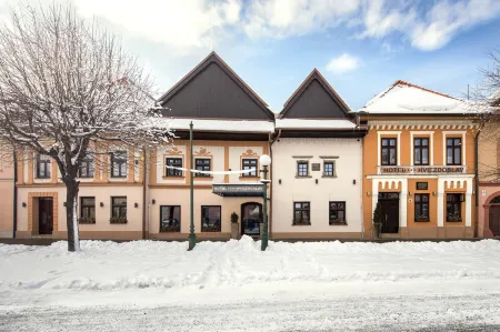 Boutique Hotel Hviezdoslav Отели в г. Вељка Ломњица