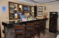 Chelsea Hotel Wuse II - bar