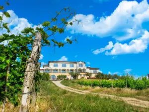 Wine Residence Cattunar