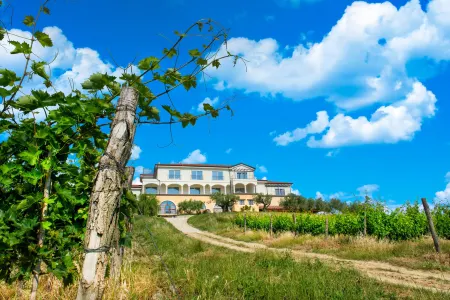 Wine Residence Cattunar Отели в г. Brkac
