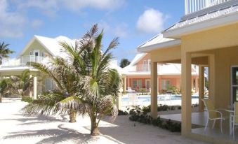 a tropical resort with multiple buildings , palm trees , and a swimming pool under a clear blue sky at Ocean Paradise