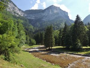 Gite l'Herbe Tendre