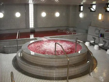 Shironohotel Kofu Отели в г. Кофу