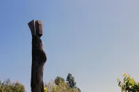 Casas de Campo Vila Marim Hotel a 