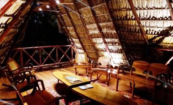 Zopango Orchids Island