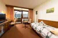 Silberkönig Schwarzwald Hotel & Restaurant Ringhotel Hotels in Elzach