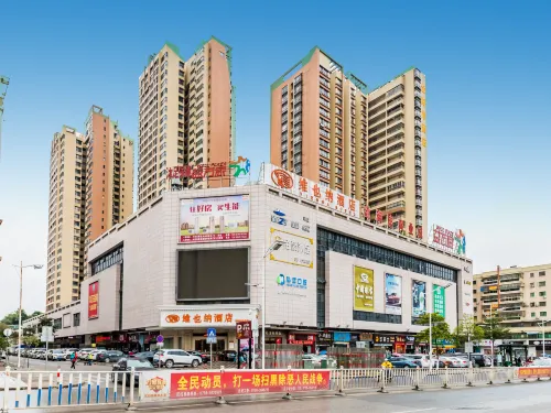 비엔나 호텔 자오칭 다왕 파크