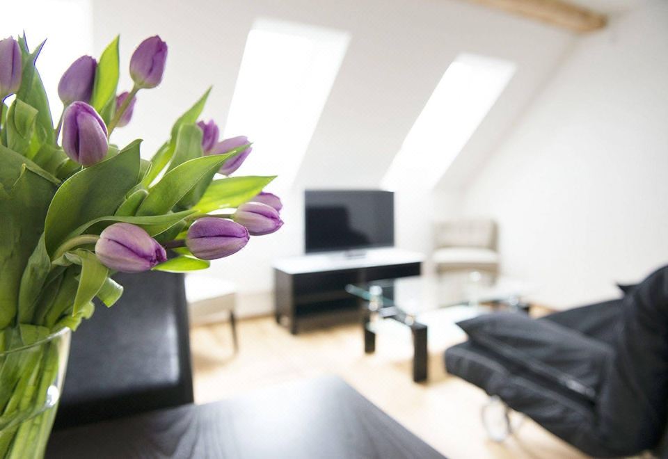 3. 스위스 스타 롱..