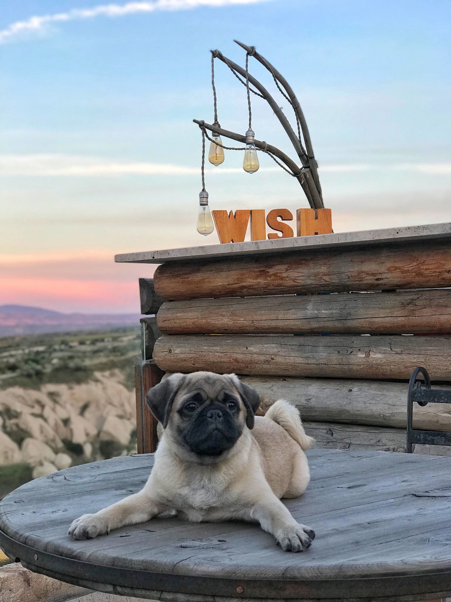 Wish Cappadocia