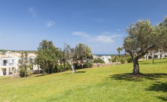 a grassy field with a blue sky and a body of water in the background at Bimbolla Apartaments