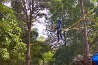 Jlr Kings Sanctuary- Jungle Lodges