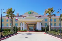 Holiday Inn Express & Suites Pearland Hotels in Pearland