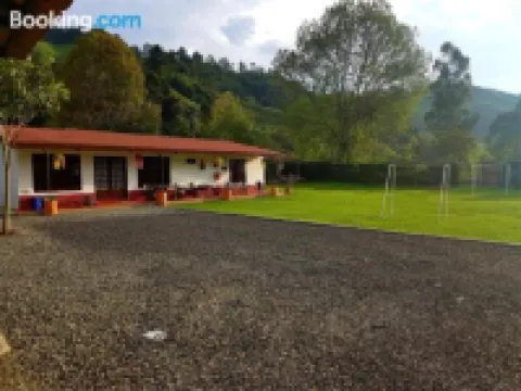 パライソ ココラ