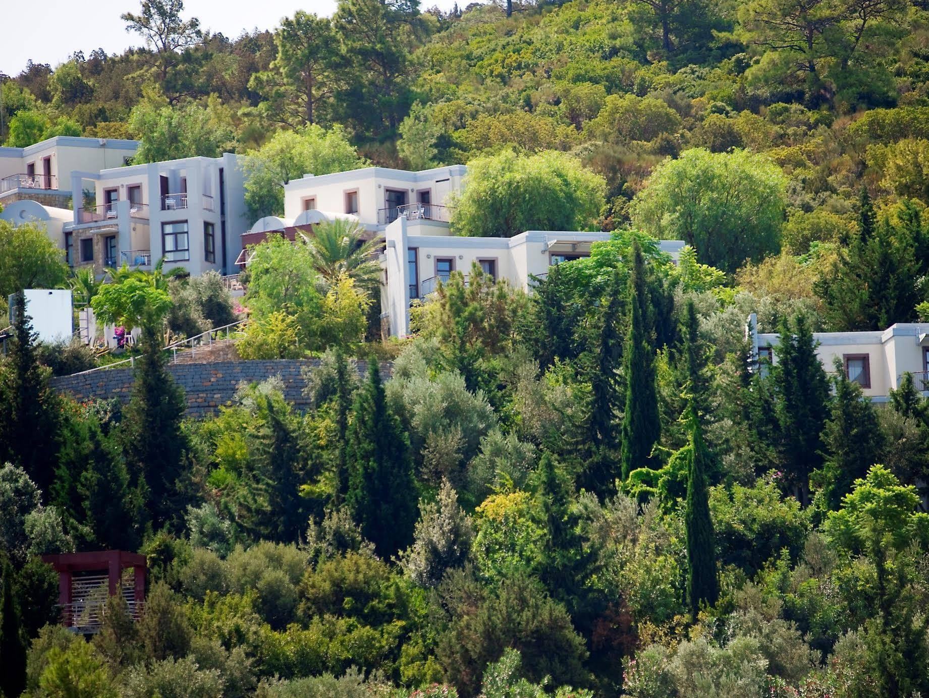 Duja Bodrum