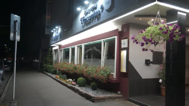 羅伊特林根多梅洛酒店 羅伊特林根酒店