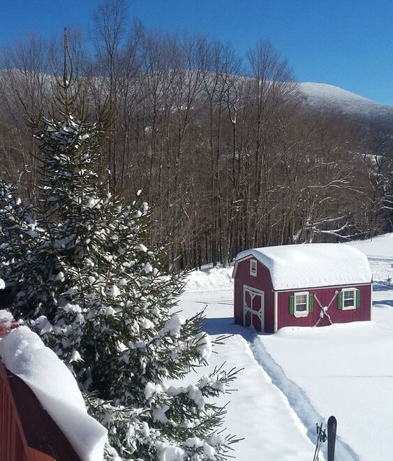 a snow - covered yard with a red house and a tree , creating a serene winter scene at Alpine View