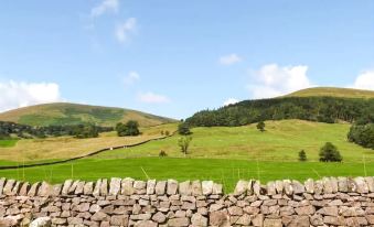 a stone wall in the foreground with rolling hills and green fields in the background at 88 Regent Street