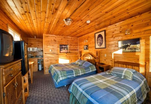 Wild Skies Cabin Rentals in Craig - Housity