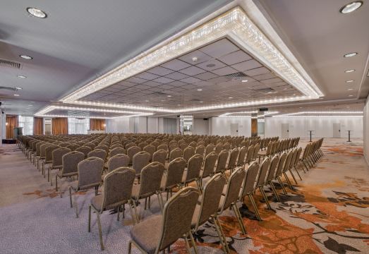 4. 디바니 카라벨..