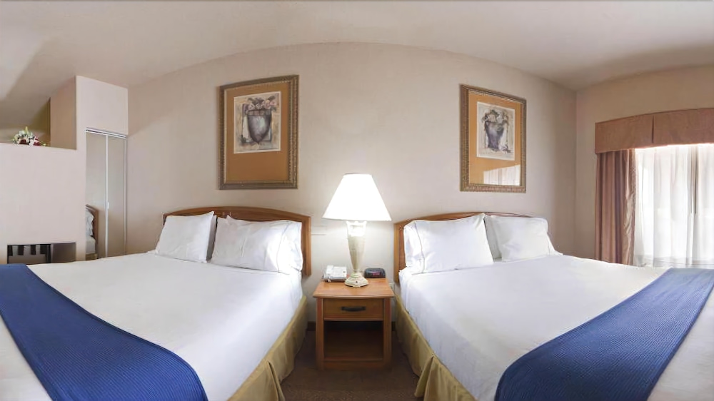 Holiday Inn Express Hotel & Suites Mission-McAllen Area, an Ihg Hotel