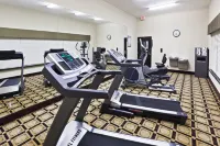 Holiday Inn Express & Suites Brownfield