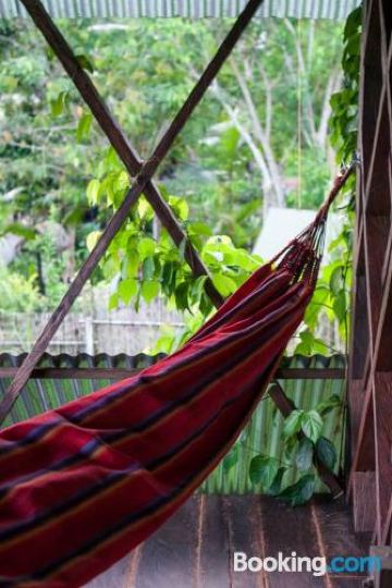 Other Ayahuasca Photo