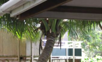Hale Kukui Orchard & Cottages
