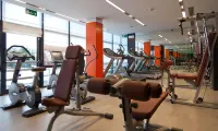 Rmh Modena des Arts