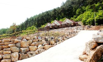 Dongkang Castle