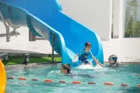 Centara Ao Nang Beach Resort & Spa Krabi - Resorts