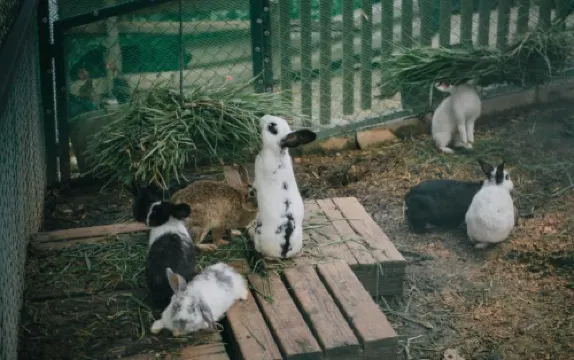 เวลาเวียน รีสอร์ท Photos