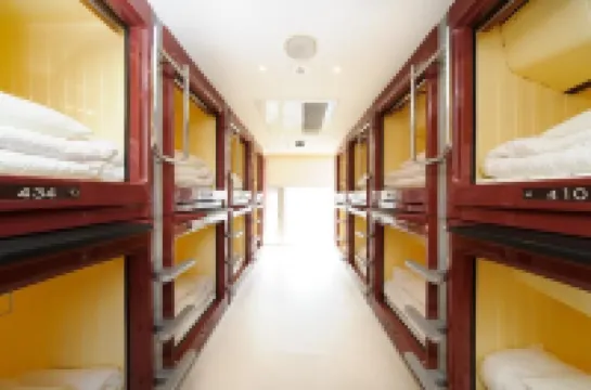 Petra Cabin Hostel Hotels in 