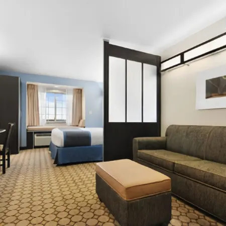 Microtel Inn & Suites by Wyndham San Angelo
