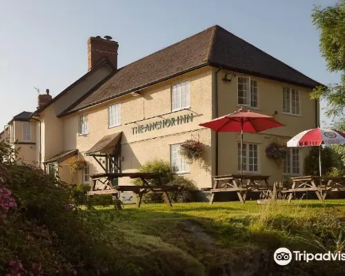 Anchor Inn Hotels in Mid Devon District