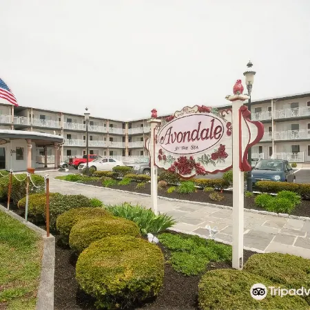 Avondale by the Sea