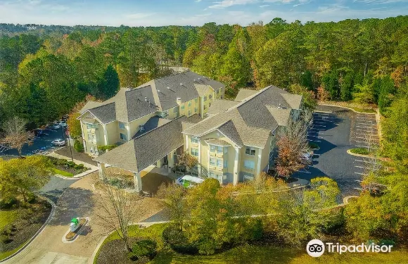 Holiday Inn & Suites 桃樹市