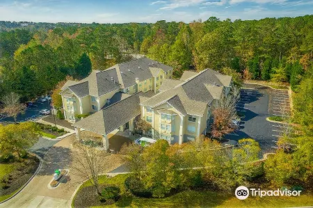 Holiday Inn & Suites Peachtree City Отели рядом с достопримечательностью «Парк Смокерайз»