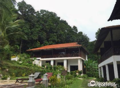 德椰子礁湖飯店